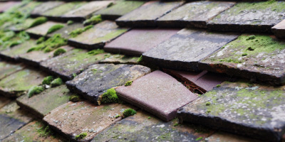 Port Isaac roof repair costs